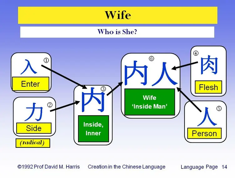 Wife - Who is She?